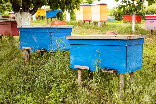Full length image of a bee colorful home at meadow, in a paceful beauty garden.