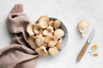 Plate with delicious organic oyster mushrooms on a white stone background, top view.