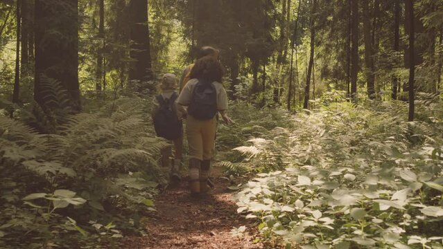 Back view of multiethnic cub scouts with leader hiking on trail in sunlit forest exploring territory
