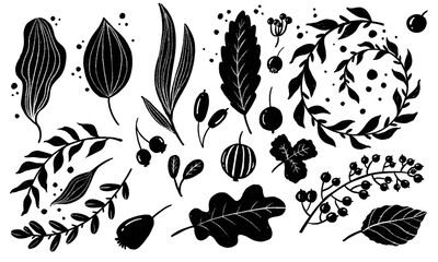 Monochrome Illustration of Autumn Ink Doodle style  hand drawn Organic Floral elements. Leaves, Branches and berries for graphic design, wrapping, patterns, textil and web design.