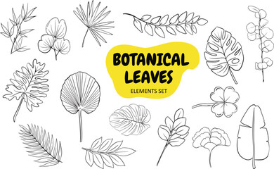 Botanical Leaves Elements Set