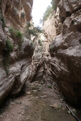 Fototapeta na wymiar Rocky gorge on the island of Cyprus