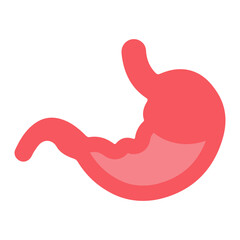 Obraz premium stomach