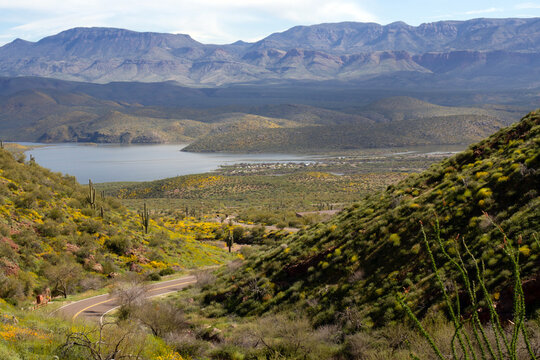 Theodore Roosevelt Lake viewed from the scenic drive in Tonto National Monument in Arizona