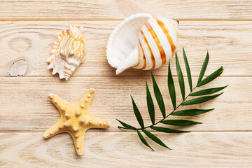 Summer time concept Flat lay composition with beautiful starfish and sea shells on colored table, top view