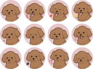 トイプードルの表情アイコンセット（レッド）