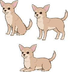 色々な姿勢のチワワ（スムースコート、クリーム）