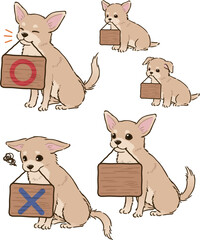 看板をくわえるチワワ（スムースコート、クリーム）