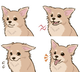 チワワの喜怒哀楽セット（ロングコート、クリーム）