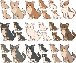 色々な毛色のチワワ（ロングコート）