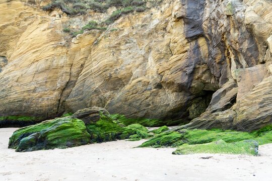 Baryte mineral veins in the sandstone rocks on the beach at Cullercoats Bay, near Tynemouth, UK.