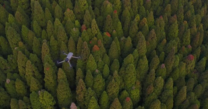 The Mavic 3 Classic Drone hovers above breathtaking views of Ilam, Nepal's lush green pine trees, with a bird's-eye perspective that showcases the natural beauty of the landscape.