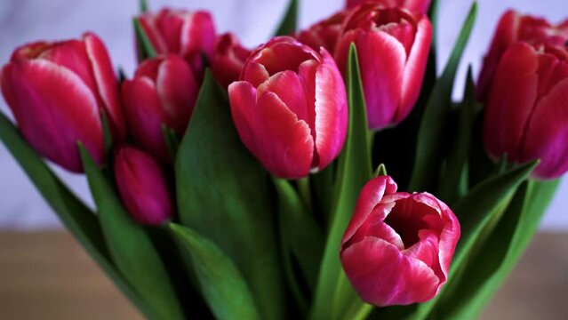 Closeup of a bouquet of delicate pink tulips in a vase decorating the room on blurred background