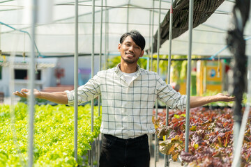 A young vegetable gardener inspects green acorns and lettuce at the greenhouse farm. Asian farmers happy farming hydroponics vegetables.