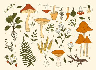 Set of cute hand drawn forest illustrations. Green witch aesthetic. Mushrooms, fern, herbs, elements for fairy witchcraft design. Cartoon herbology vector art