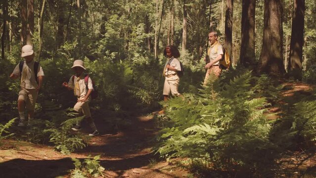 Diverse troop of young cub scouts and their adult leader hiking together in summer forest