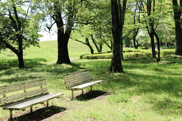 公園のベンチpark bench in Gyoda,Saitama,Japan