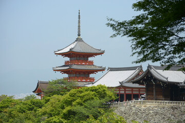 Naklejka premium 新緑の清水寺 三重塔 京都市東山区