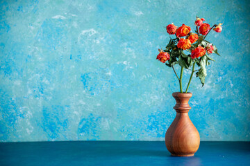 front view red withered flowers inside vase on blue background color tree flower photo rose beauty...