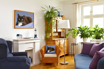 Custom-made home decoration concept: colorful living room with framed print of a black and white cat photo and throw pillow of the same picture. - Powered by Adobe