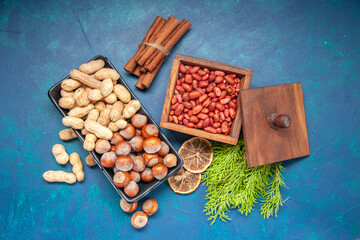 top view fresh nuts hazelnuts and peanuts inside plate on blue background walnut color snack cips...