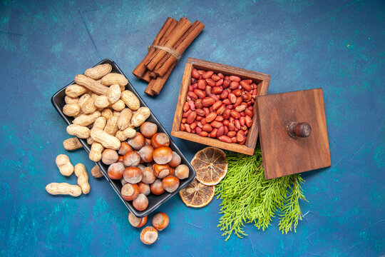 top view fresh nuts hazelnuts and peanuts inside plate on blue background walnut color snack cips nut plant tree © Kamran