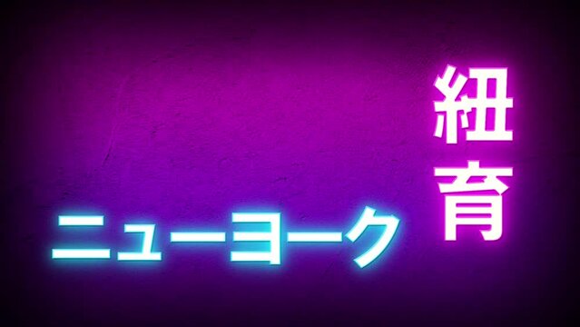 New York in Japanese Letters Neon Sign Lights