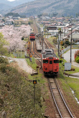 桜と列車
