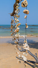 Muschelketten am Strand © Isnurnfoto.