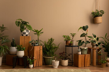Warm composition of botanic living room interior with plants in flowerpots, wooden stand, black stool, brown wall and personal accessories. Home decor. Template.