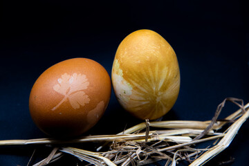 easter egg in nest on the black background