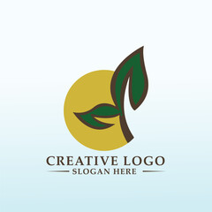 create the logo of this future eco place