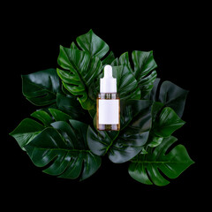 Natural Serum and face oil. Cosmetic hydrating serum in a glass bottle with pipette close up. Hyaluronic acid, vitamin c on black background with leaf monstera mock up..
