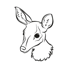 Young Baby Deer Face vector Artline illustration.