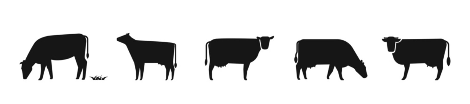 Grazing cow vector set. Cow body silhouette, calf icon