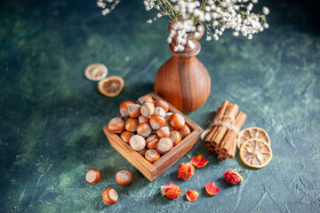 Obraz na płótnie Canvas front view fresh hazelnuts on dark-blue background shell nut cips snack walnut peanut color