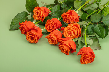 Bouquet of fresh bright roses on trendy green background. Romantic gift concept, greeting card