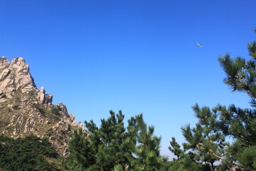 Mountain View, clouds, plane, and tree
