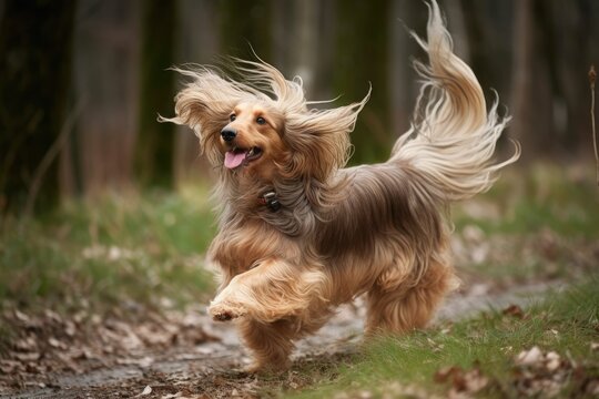 dog in a humorous situation, such as chasing its own tail or barking at nothing, created with generative ai