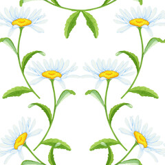 Seamless background with flowers and chamomile leaves on a white background. Watercolor floral illustrations.