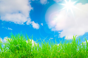 Fototapeta na wymiar 草原と青空と太陽