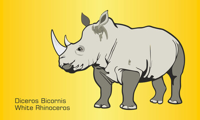 The White Rhinoceros - Illustration, 
Grazing in the grass