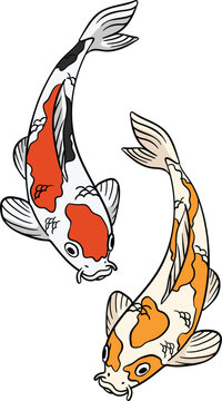 Koi Fish Cartoon Colored Clipart Illustration