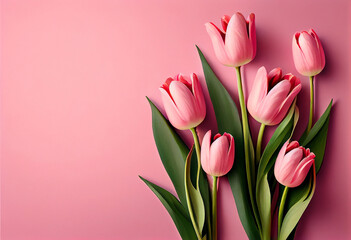 Obraz premium blooming spring tulip flowers on pink background