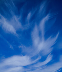 Fototapeta na wymiar Clouds on the blue sky 