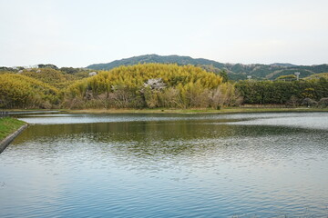 Ikusaka-ike Pond in Tenri Nara, Japan - 日本 奈良県 幾坂池 