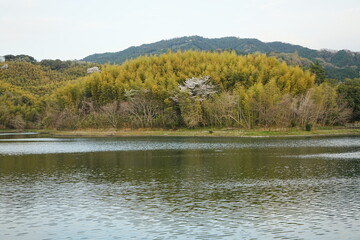 Ikusaka-ike Pond in Tenri Nara, Japan - 日本 奈良県 幾坂池 