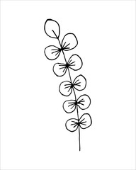Graphic branch in doodling style.Minimal style blossom illustration design for logo, wedding, invitation, decor.
