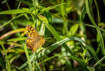 Holiday in Palma de Mallorca