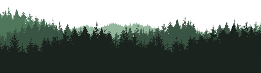 Forest blackforest woods vector illustration banner landscape panorama long - Green silhouette of spruce and fir trees, isolated on white background